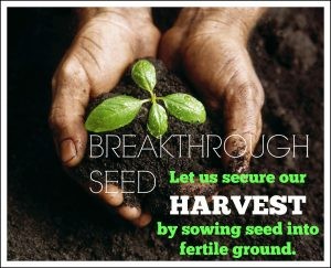 Money With A Mission Part 4 - The Breakthrough Power of The Seed