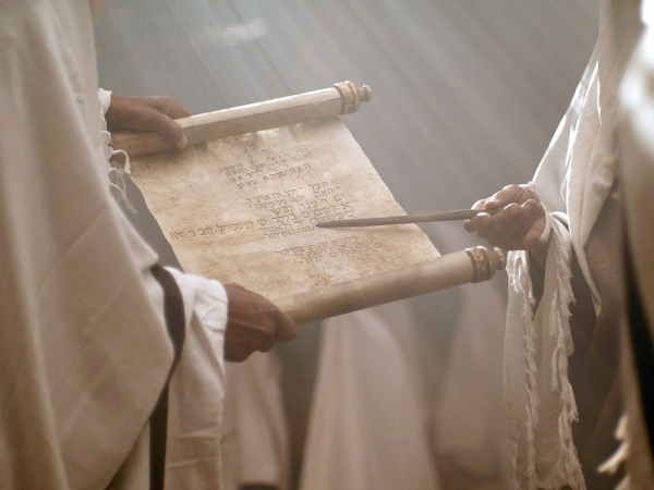 Torah Portions