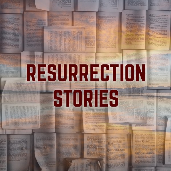 Restoration - Dan Turis Restoration - Dan Turis