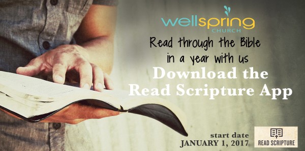 The Year of the Bible week 14 (1 Kings) The Year of the Bible week 14 (1 Kings)