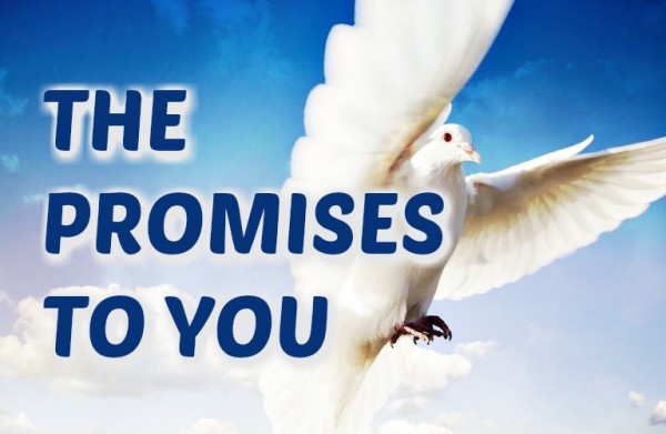The Promises to You- June 4th, 2017 The Promises to You- June 4th, 2017