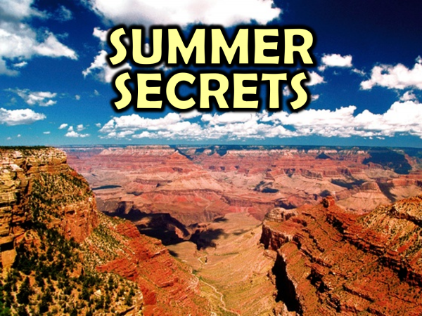 summer-secrets-part-6-we-have-a-diversity-problemSummer Secrets (Part 6 - We Have a Diversity Problem)