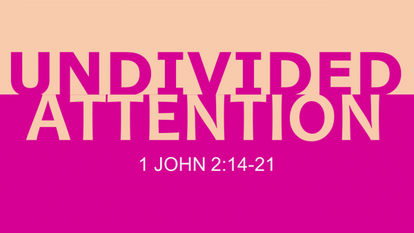 Undivided Attention Undivided Attention
