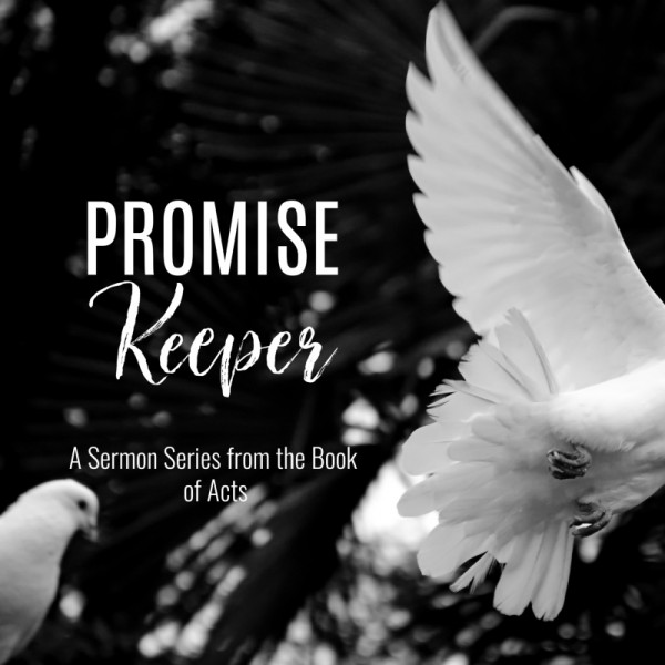 grace-filled-missionGrace-Filled Mission