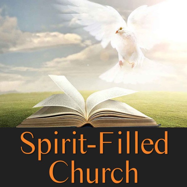 the-spirit-filled-churchThe Spirit Filled Church