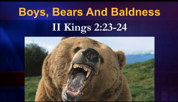 Boys, Bears and Baldness Boys, Bears and Baldness