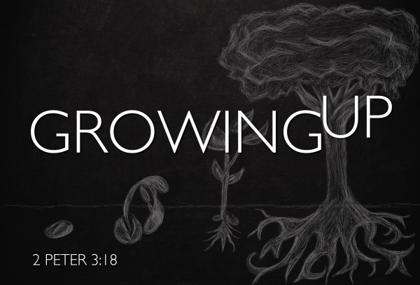 Growing Up part 2 - Grow your gift Growing Up part 2 - Grow your gift