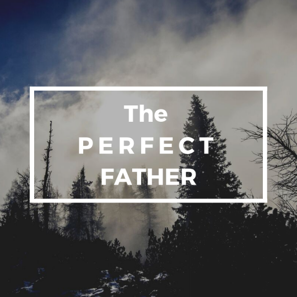 The Perfect Father The Perfect Father
