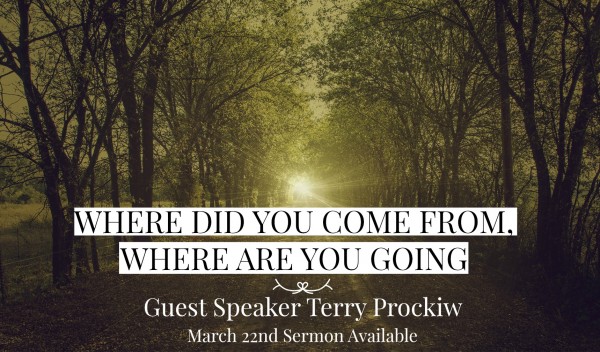 terry-prockiw-where-did-you-come-from-where-are-you-going-march-22Terry Prockiw - Where did you come from, where are you going - March 22