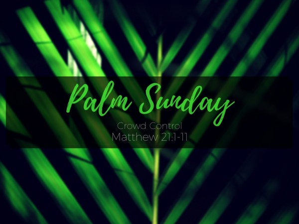 Palm Sunday Crowd Control Palm Sunday Crowd Control