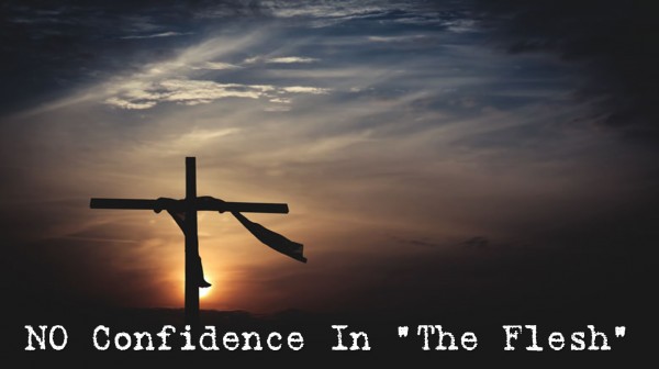 no-confidence-in-the-fleshNo Confidence In The Flesh