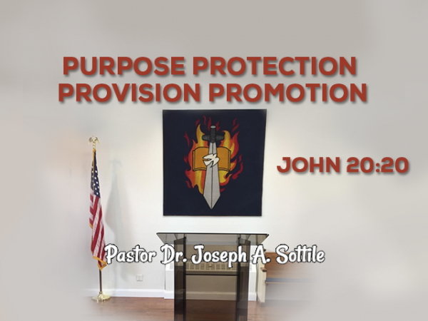 purpose-protection-provision-promotion-june-24-2020Purpose Protection Provision Promotion - June 24, 2020