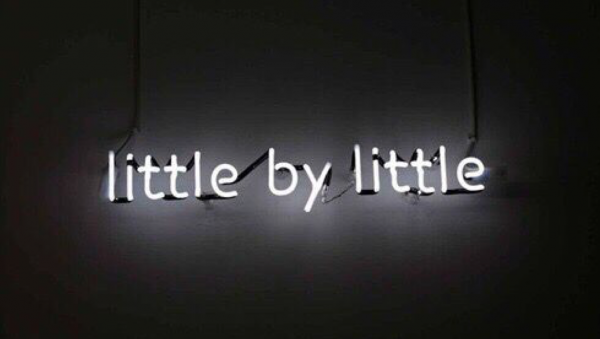 Little by Little Little by Little
