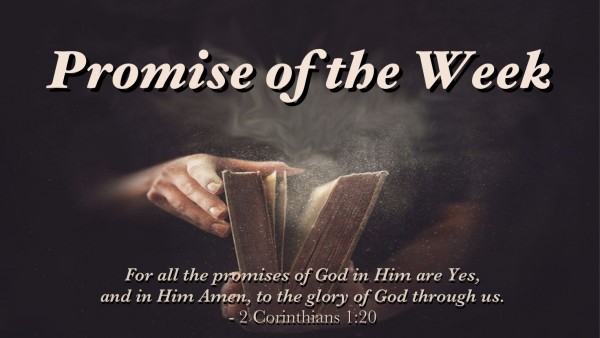 The Promise of Prosperity Part 2 The Promise of Prosperity Part 2