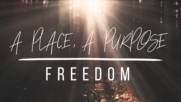 A Place for Freedom A Place for Freedom
