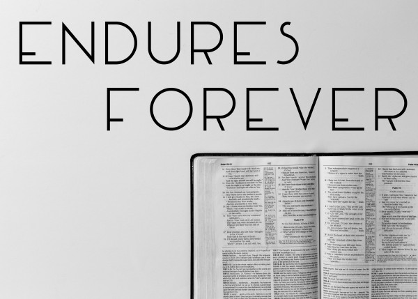 endures-foreverEndures Forever