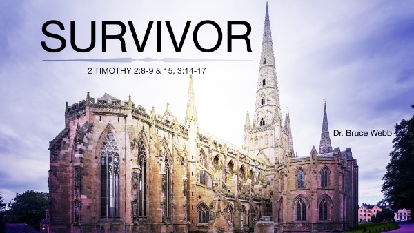 Survivor Survivor