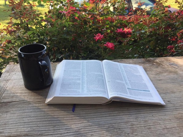 the-bible-saysThe Bible Says