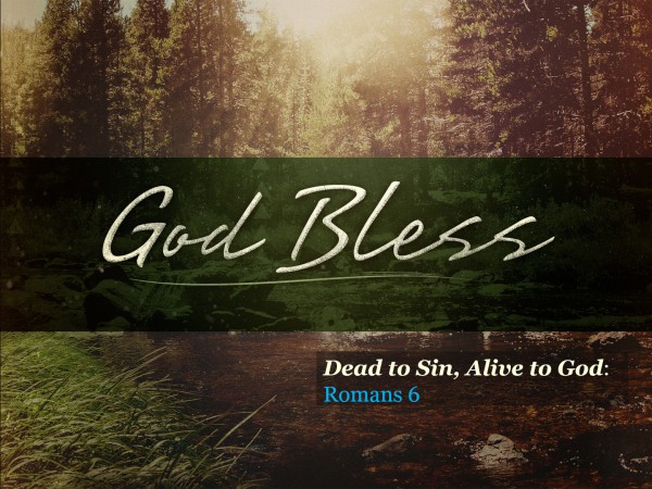 Dead to Sin, Alive to God: Dead to Sin, Alive to God: