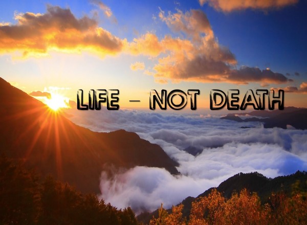 life-not-deathLife Not Death