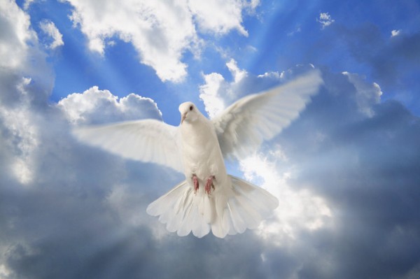 pentecost-sundayPentecost Sunday