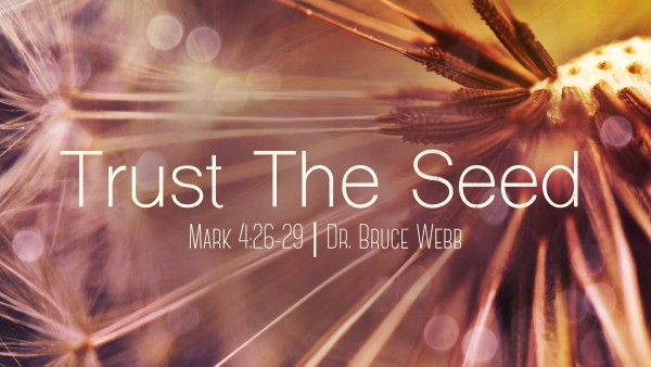 Trust The Seed | Dr. Bruce Webb Trust The Seed | Dr. Bruce Webb