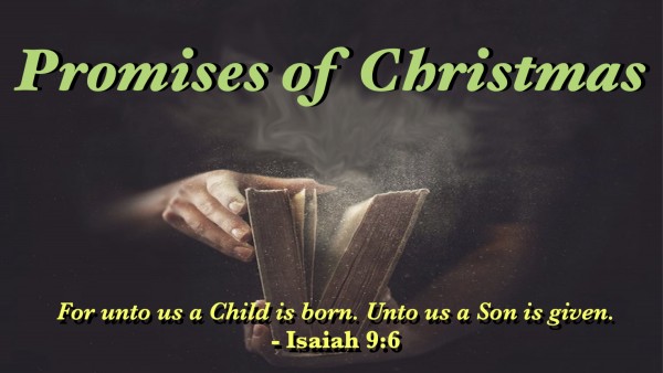 The Promise to Mary The Promise to Mary