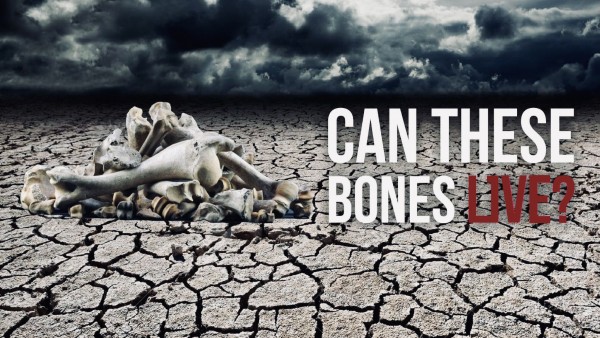 can-these-bones-liveCan These Bones Live