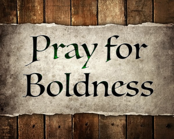 pray-for-boldness-acts-423-31Pray for Boldness (Acts 4:23-31)