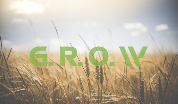the-big-announcement-growThe Big Announcement-GROW
