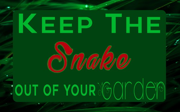 keep-the-snake-out-of-your-garden-pastor-kenny-smithKeep The Snake Out Of Your Garden (Pastor Kenny Smith)