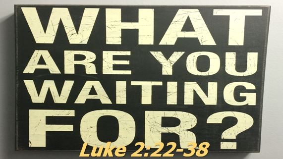 what-are-you-waiting-forWhat Are You Waiting For?