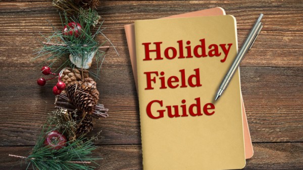 Holiday Field Guide - Part 3 - A Season of...