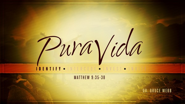 pura-vida-week-2Pura Vida Week 2