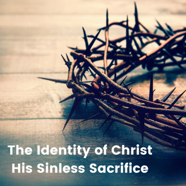 His Sinless Sacrifice His Sinless Sacrifice