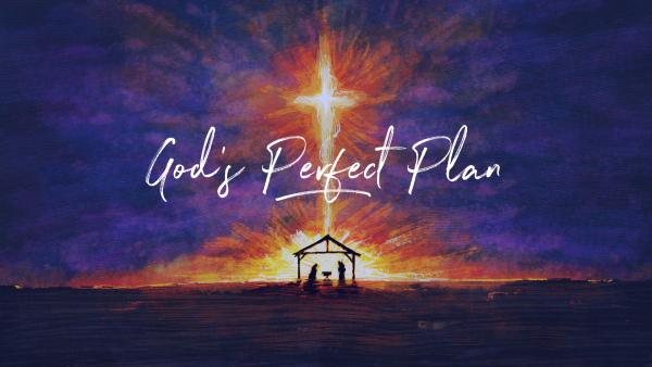 gods-perfect-planGod's Perfect Plan