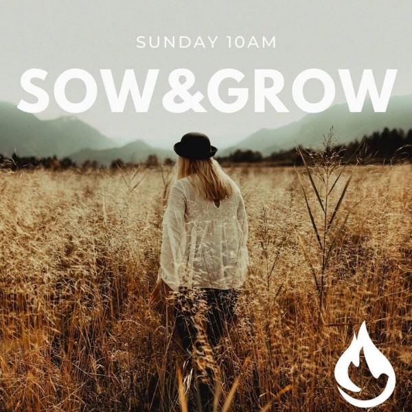 2020-a-year-to-sow-a-year-to-grow-22020 A year to Sow! A Year to Grow! 2