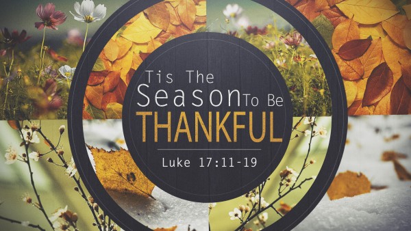 Tis The Season To Be Thankful Tis The Season To Be Thankful