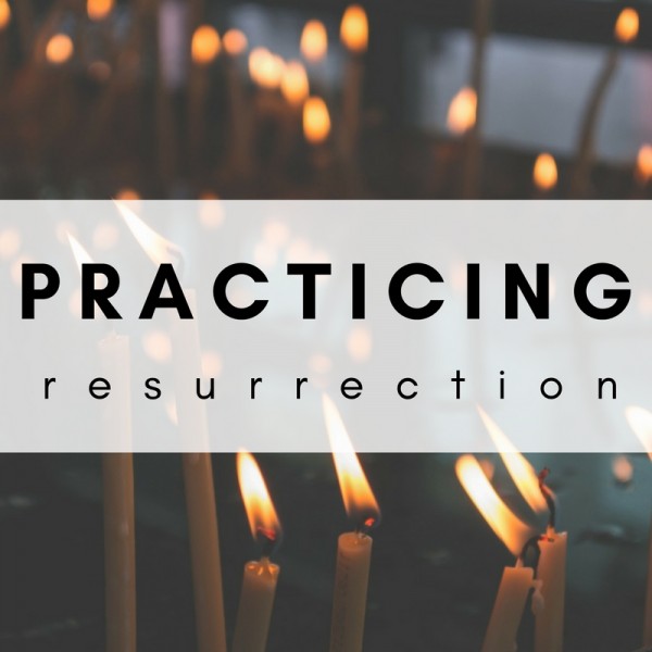 Rooted In Christ: Part 2 Rooted In Christ: Part 2