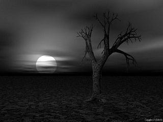 dark-world-solutionsDark world solutions...