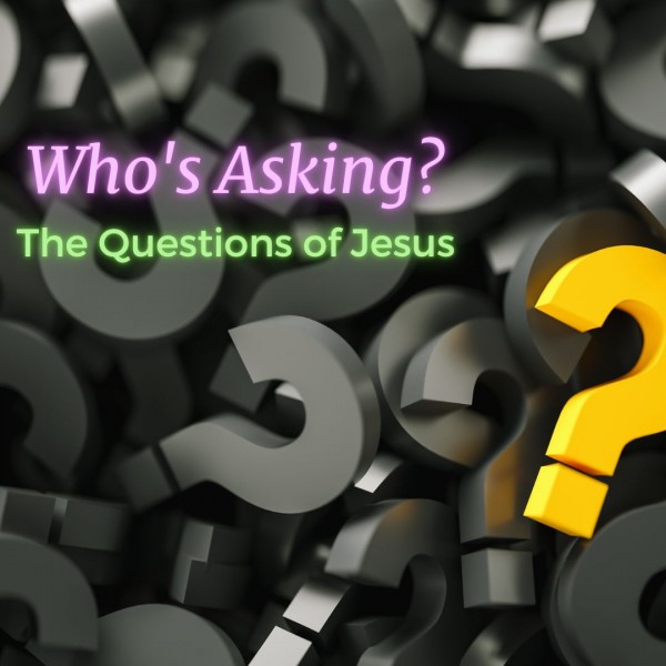 A Question of Family