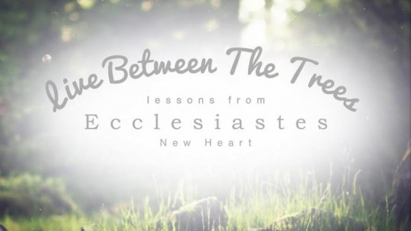 you-only-live-once-ecclesiastes-94-10