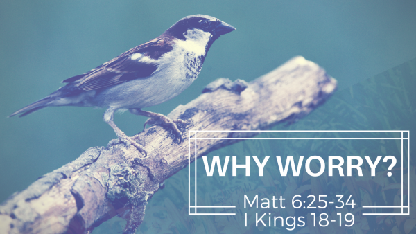 why-worryWhy Worry?