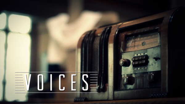 voices-pt-2Voices Pt. 2