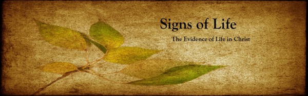 gifts-of-the-spirit-prophecy-what-whyGifts of The Spirit: Prophecy- What & Why
