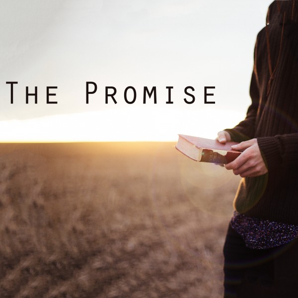 5-13-18-the-promise-part-1-the-promise-of-a-mother5-13-18 - The Promise - Part 1 - The Promise of A Mother