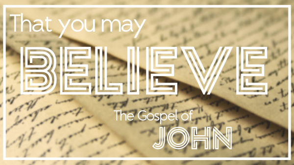 john-213-25-by-what-authorityJohn 2.13-25. . . By What Authority