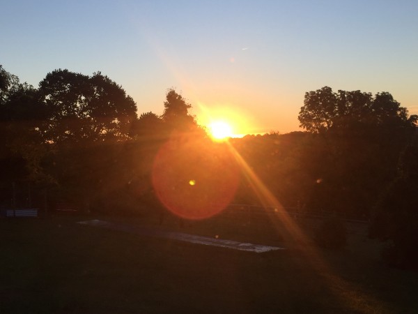 sunday-risingSunday Rising