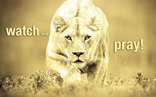 watch-and-prayWatch and Pray