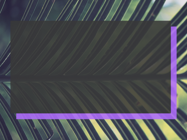 palm-sundayPalm Sunday